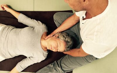 Interview: Mike Mandl, organizer of the 2017 Shiatsu European Congress