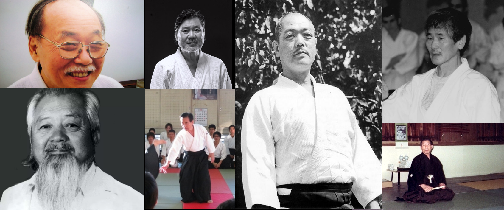 Background and Basics Takemusu Aikido Volume 1