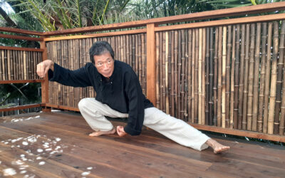 Interview with DoAnn T. Kaneko: master of Anma and Shiatsu