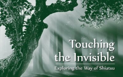 Livre : Touching the Invisible
