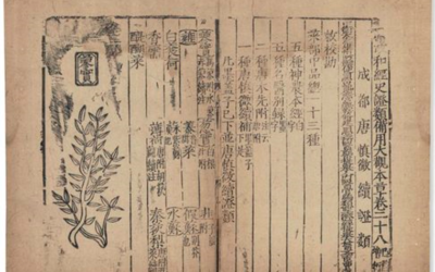 Histoire de la médecine japonaise 2 – périodes Nara, Heian et Kamakura