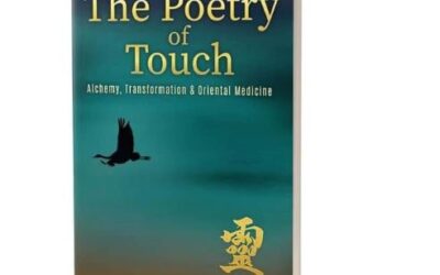 Eine Buchrezension über The Touch of Poetry – Alchemy, Transformation & Oriental Medicine von Chris McAlister