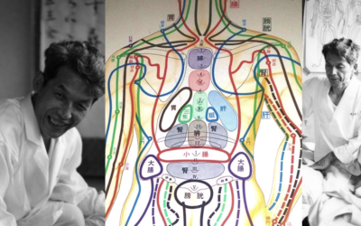 Shizuto Masunaga : i sistemi di diagnosi Hara (parte 3)