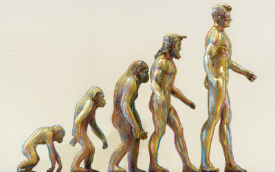 Il Bacino: Evoluzione Anatomica, Culturale ed Energetica