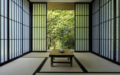 Italien: Shiatsu Stage – Energieprinzipien und Vakuumkonzept (Xuli) in Shiatsu – 31/01 und 1/02 2026 in Padua