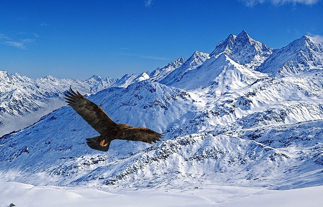 Italia: Stage Shiatsu – Principi energetici e concetto del Vuoto (Xuli) nello Shiatsu – 31/01 e 1/02 2026 a Padova