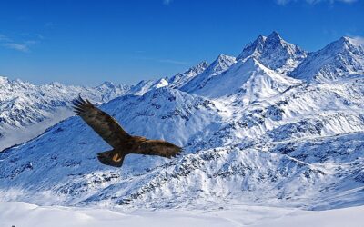 Italia: Stage Shiatsu – Principi energetici e concetto del Vuoto (Xuli) nello Shiatsu – 31/01 e 1/02 2026 a Padova