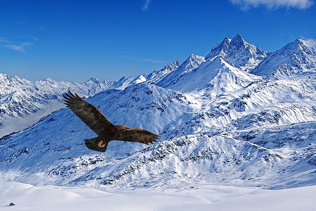 montagne aigle