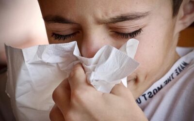 France : stage Shiatsu « Troubles O.R.L. et pulmonaires » – 8 au 10 Mai 2026 à Angers