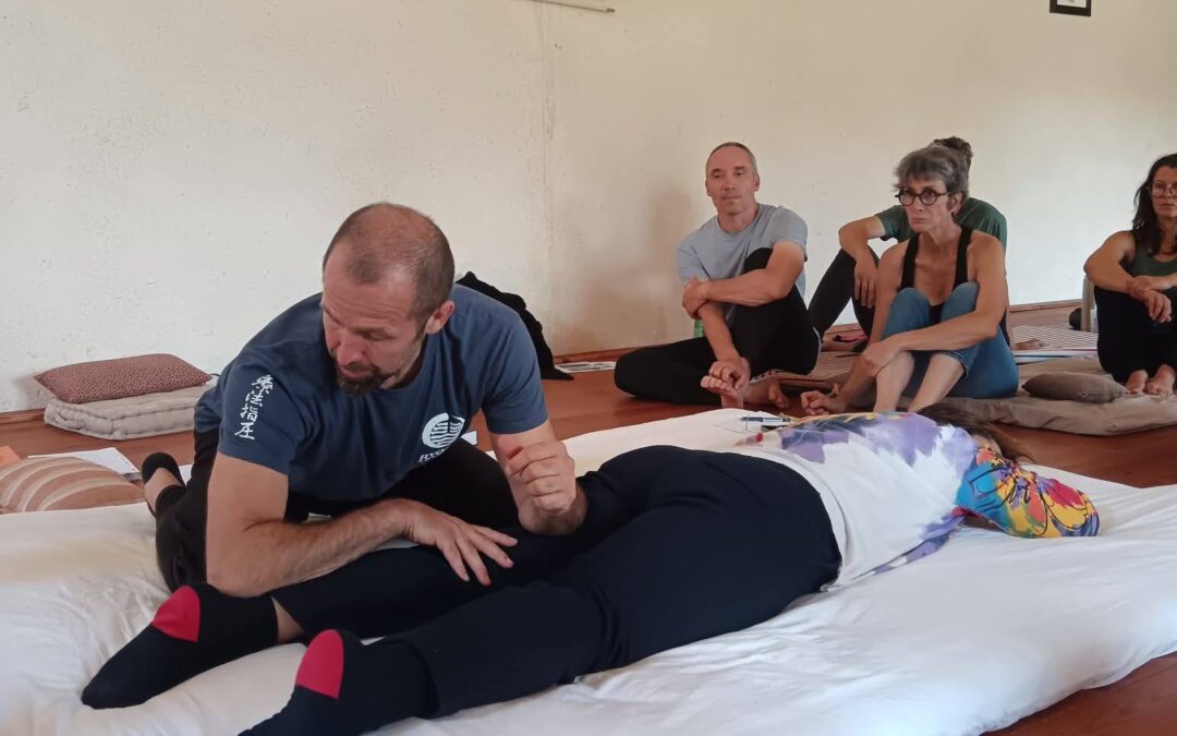 France : Gagner en efficacité et se préserver en Shiatsu  – 24.25 et 26 Juillet 2026 