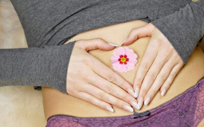 France : Shiatsu et troubles du cycle menstruel – 28-29 mars 2026 à Toulouse