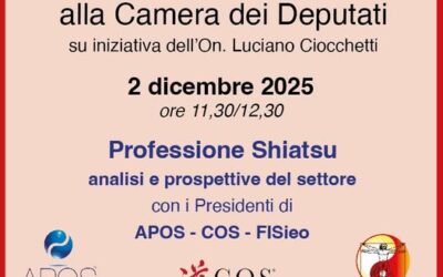 Shiatsu profession defended in Italy’s Chamber of Deputies
