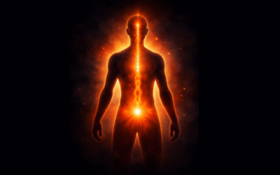 Les « neuf points pour faire revenir le Yang »