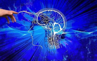 Clean Language in Bodywork – part 1