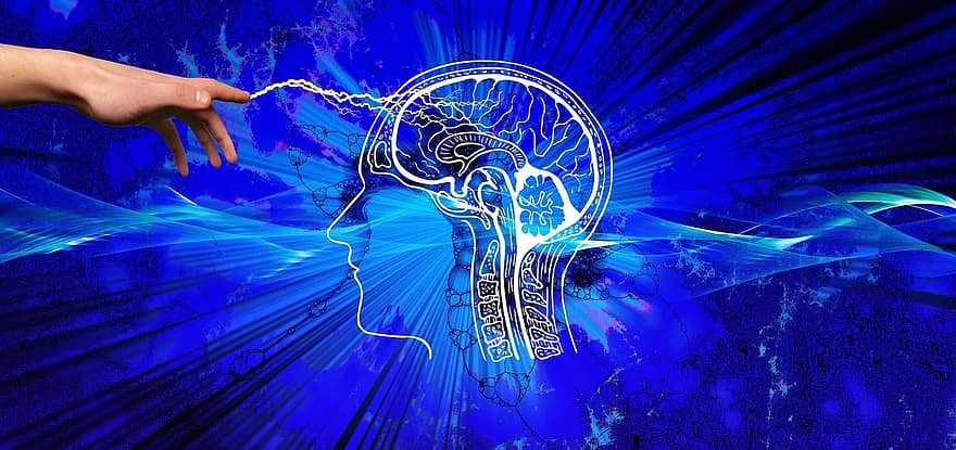 Clean Language in Bodywork – part 1