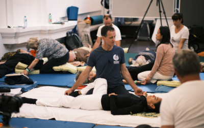 France/Allemagne: diagnostic oriental pour la pratique du Shiatsu – 14/15 novembre 26 à Kehl-Strasbourg