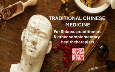 Traditional Chinese Medicine for Shiatsu Practitioners and Other Complementary Health Therapists