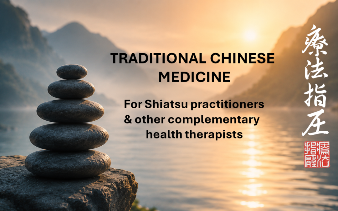 Traditional Chinese Medicine for Shiatsu Practitioners and Other Complementary Health Therapists
