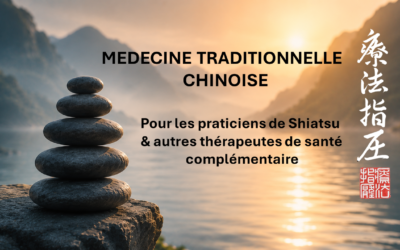 Médecine traditionnelle chinoise pour les praticiens de Shiatsu et autres thérapeutes en santé complémentaire