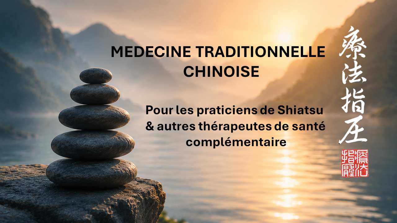formation en ligne MTC pour shiatsu avec Ivan Bel